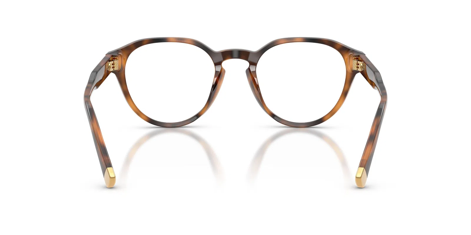 Polo 2304F Eyeglasses - view 18